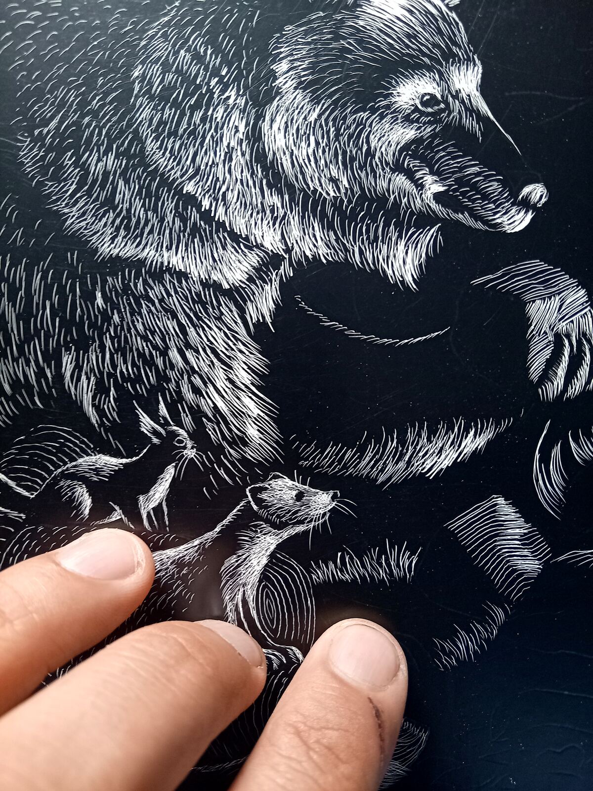 Close detail of white linework, with Rocco's fingers showing the small scale of each mark