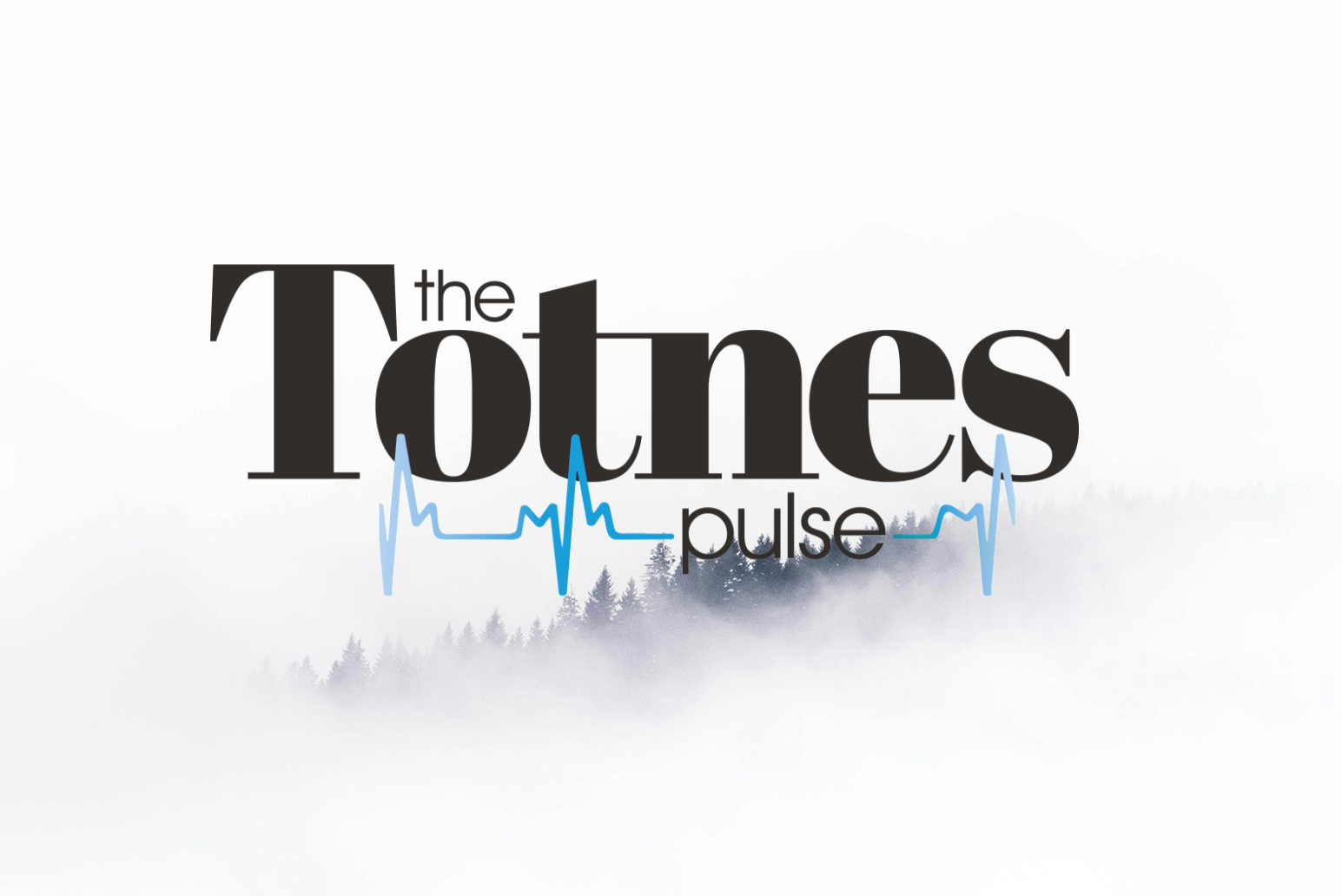 Totnes Pulse, a neighbourhood community on Bonfire